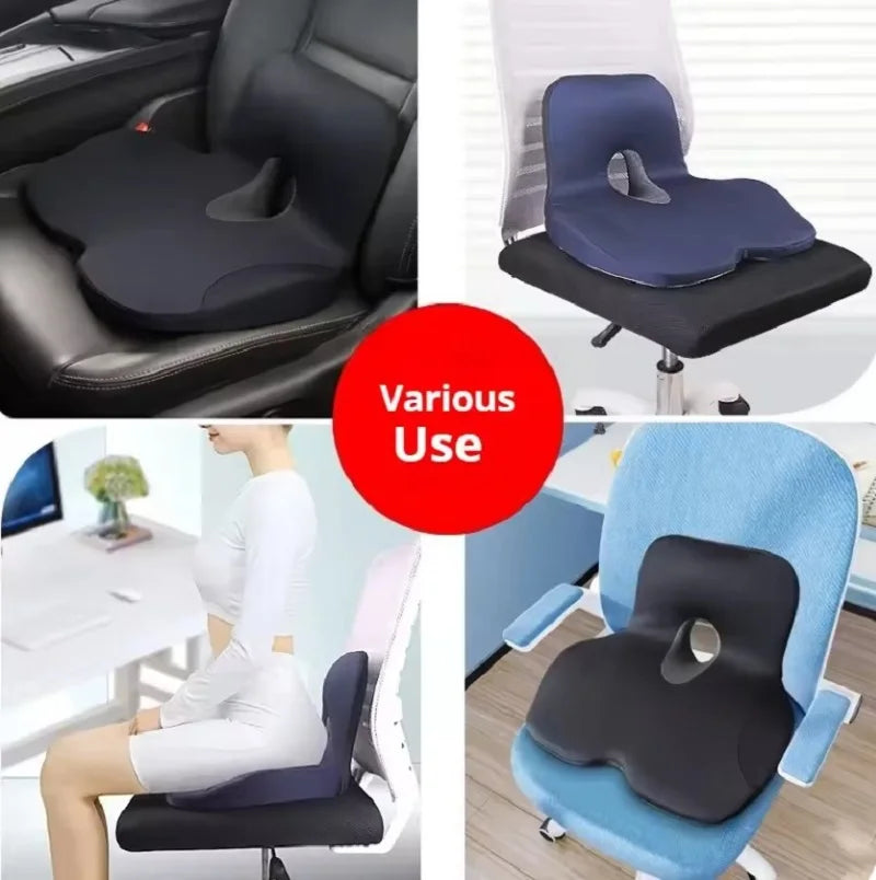 Seat Cushion w/ Lumbar Support