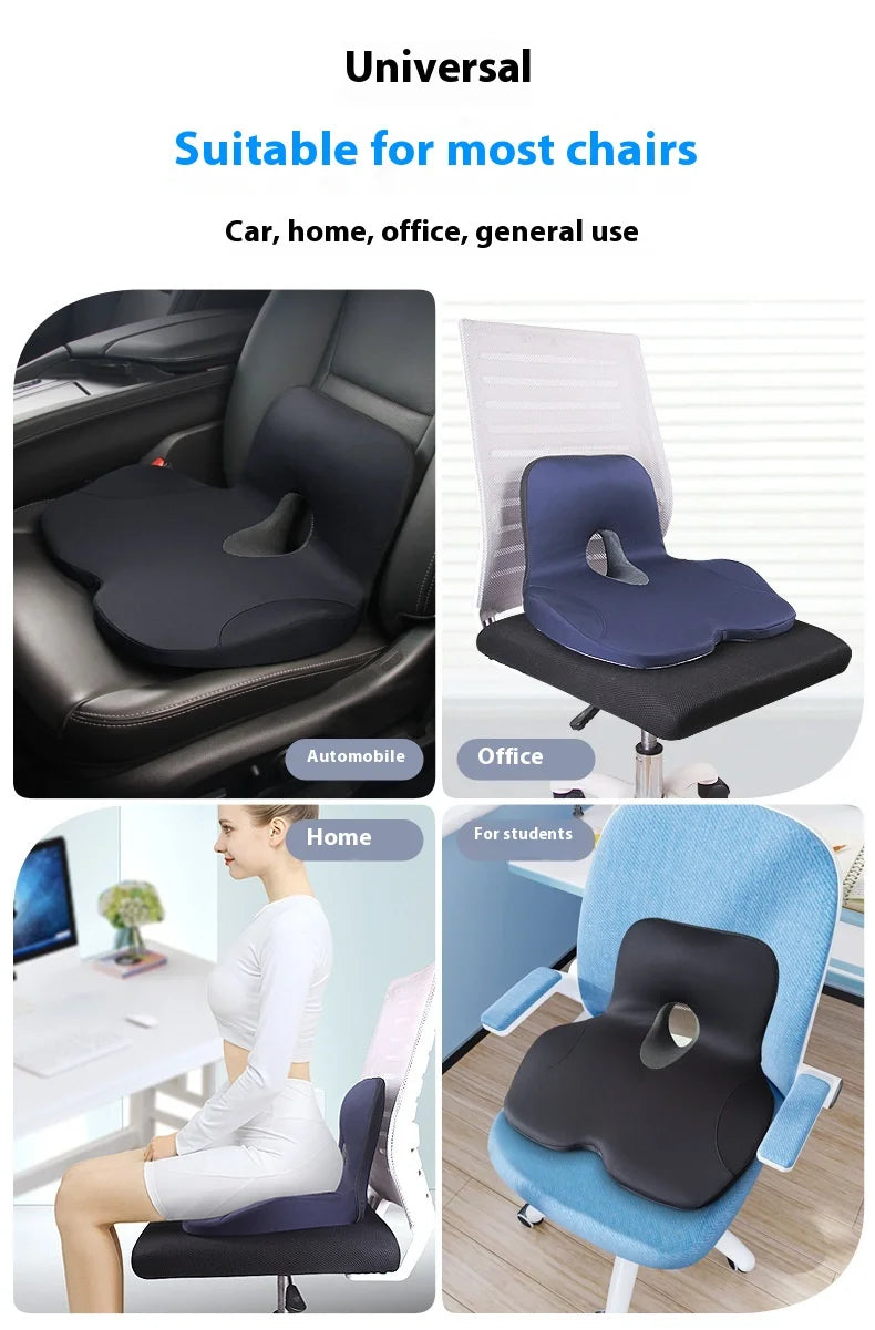 Seat Cushion w/ Lumbar Support