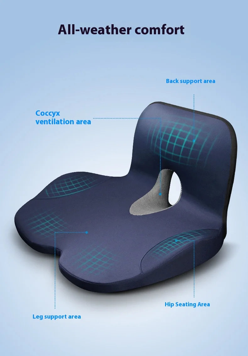 Seat Cushion w/ Lumbar Support