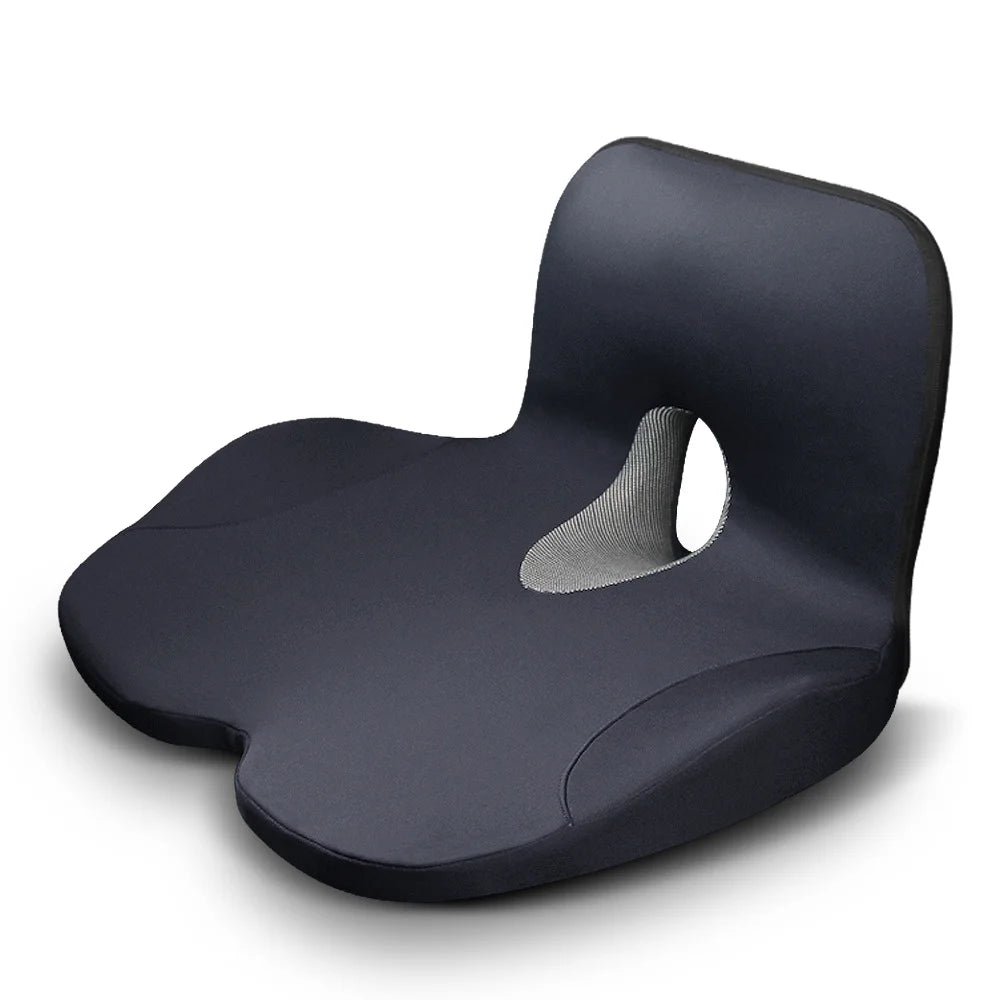 Seat Cushion w/ Lumbar Support