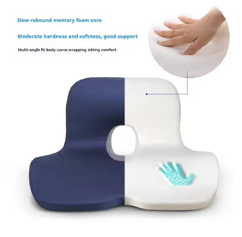 Seat Cushion w/ Lumbar Support