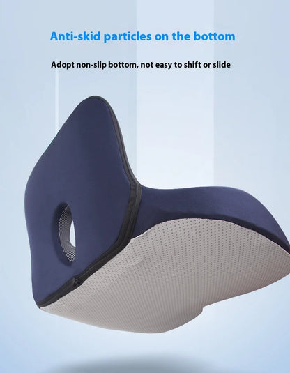 Seat Cushion w/ Lumbar Support